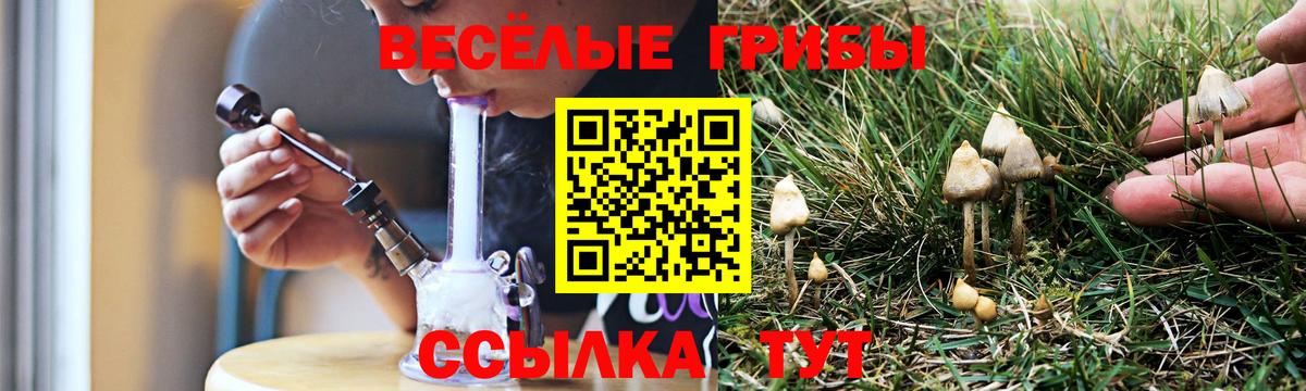 Галлюциногенные грибы GOLDEN TEACHER Беслан